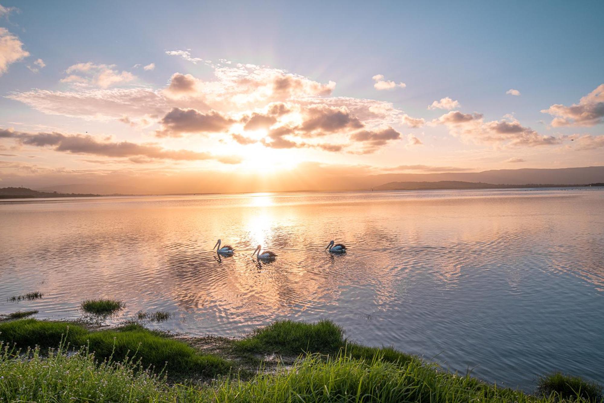 Lakeside Inn Wollongong Primbee Екстер'єр фото